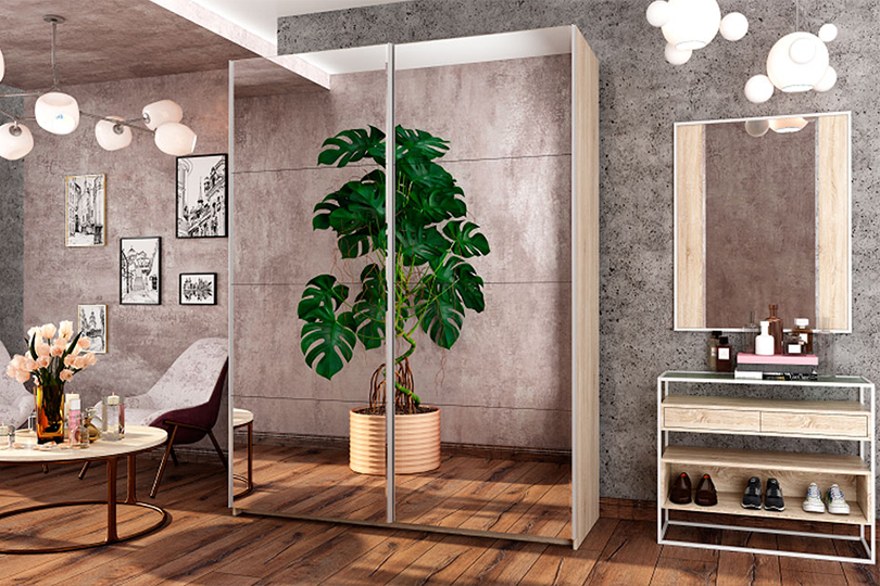 Шкаф-купе Fortune-19 Шкаф-купе Fortune-19